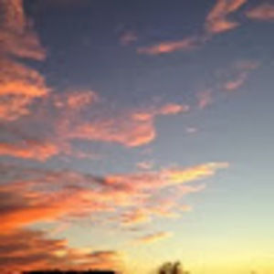 Meet your Posher, Peggy